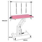 White Hydraulic Grooming Table | Pink