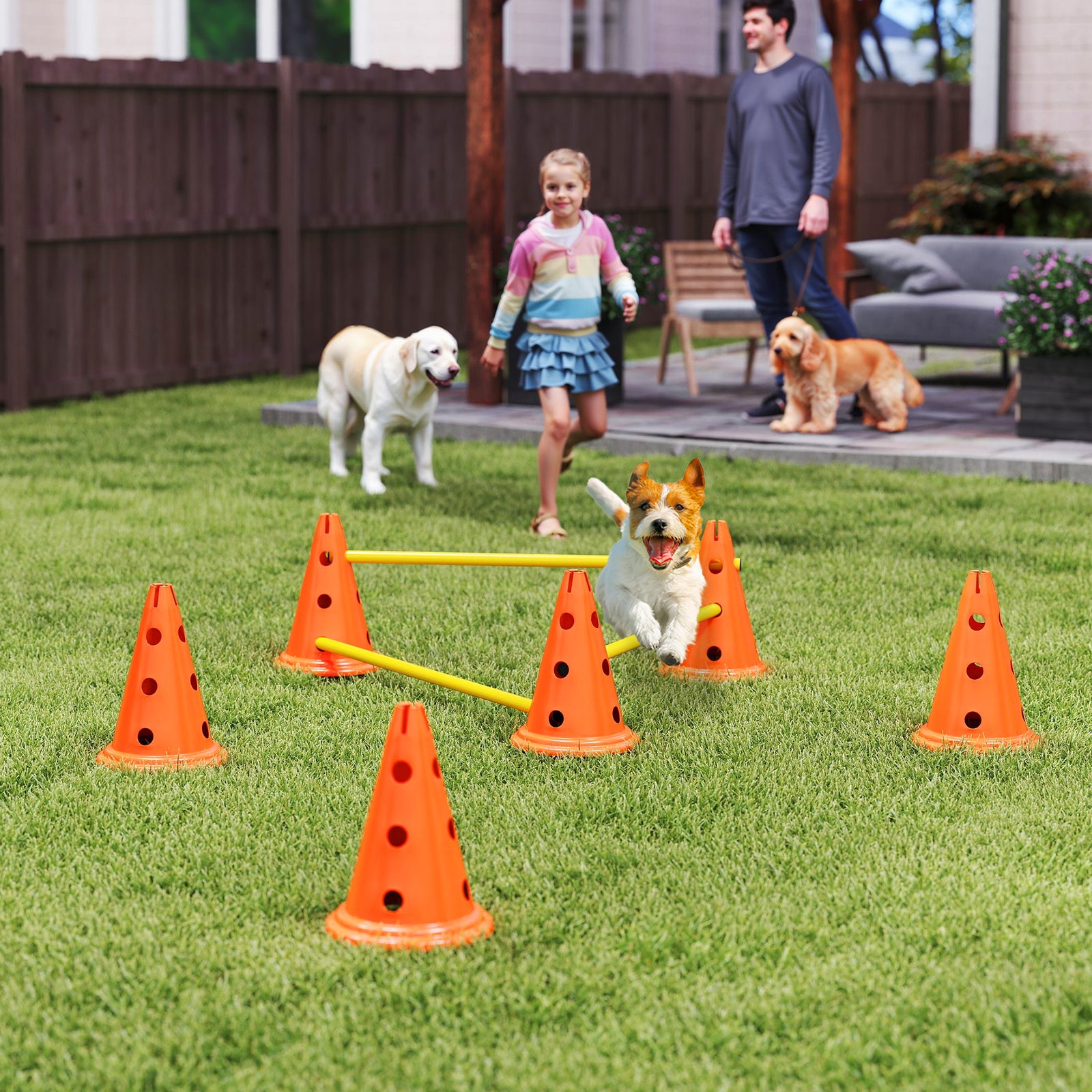 Dog Agility Equipment Set, 3 Pcs Adjustable Height Jumping Obstacles | Small | Orange