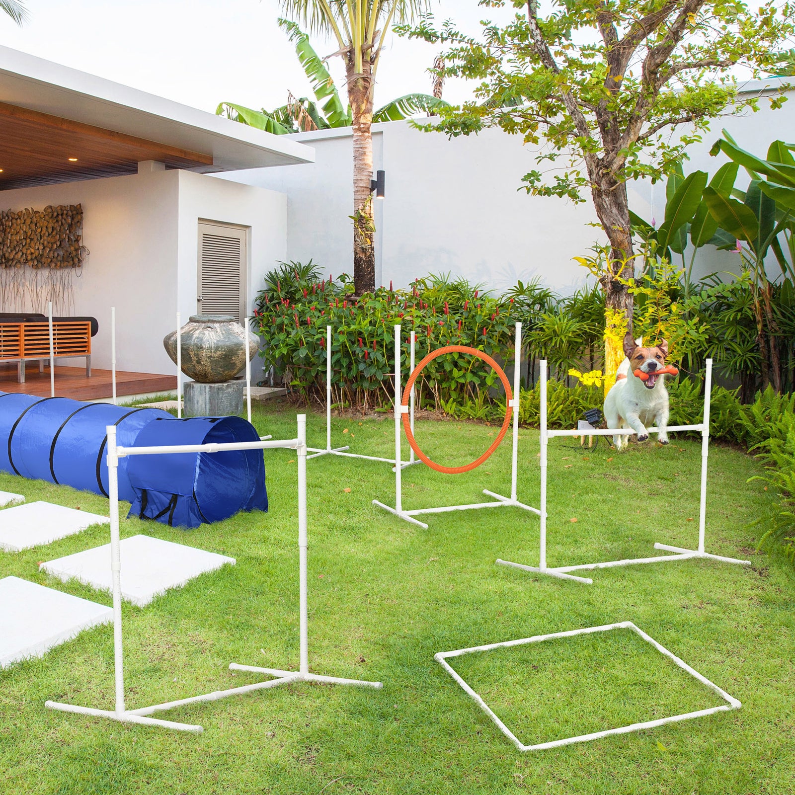 Six-piece Dog Agility Equipment Set W/ Carry Bag