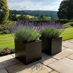 Zinc Galvanised Square Planter | 60cm x 60cm x 60cm | Matte Black
