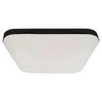 Nemo 17w(100w) Ceiling Lamp A Stylish Robust 33cm Ceiling Lamp With Matt Black Edging Outdoor Or Bathroom