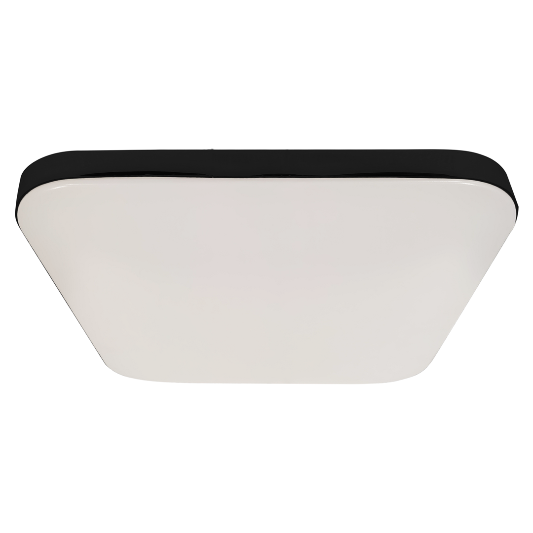 Nemo 17w(100w) Ceiling Lamp A Stylish Robust 33cm Ceiling Lamp With Matt Black Edging Outdoor Or Bathroom