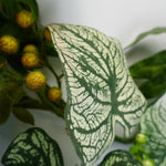 150cm Artificial Hanging Plant Realistic Alocasia Sinuata