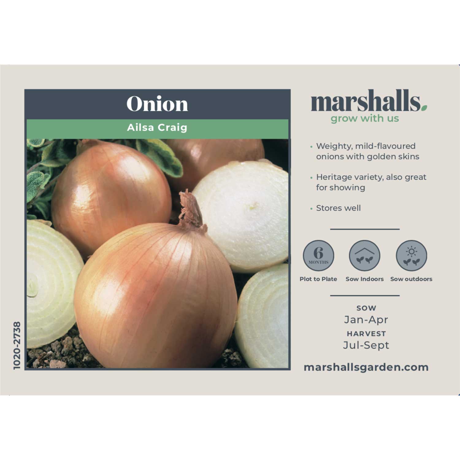 Ailsa Craig Onion Seeds | 500 Seeds
