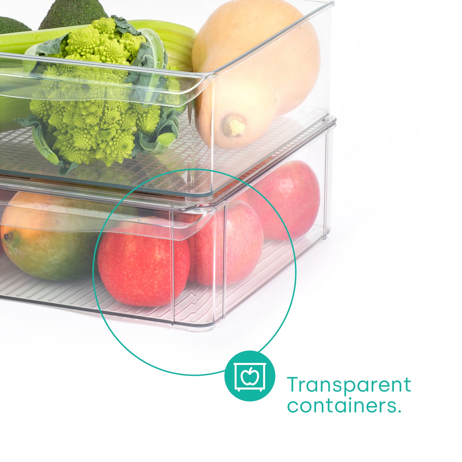 Fridge Storage Container - Xl