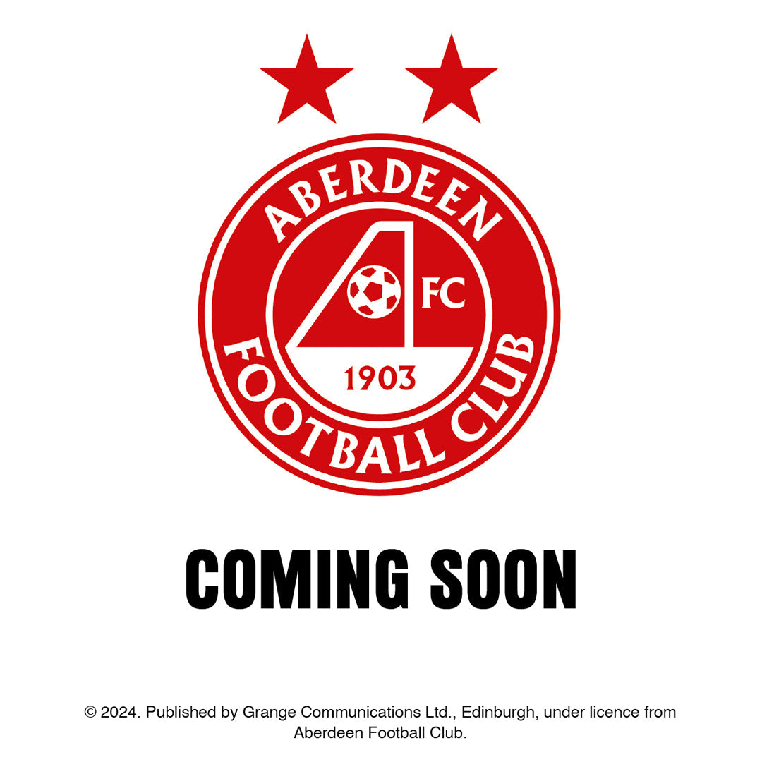 2026 Calendar, A3, Official Product