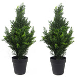 60cm Pair Of Artificial Cedar Cypress Topiary Uv Resistant