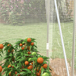 Walk-in Polytunnel Greenhouse W/ Pe Cover 3x2x2m