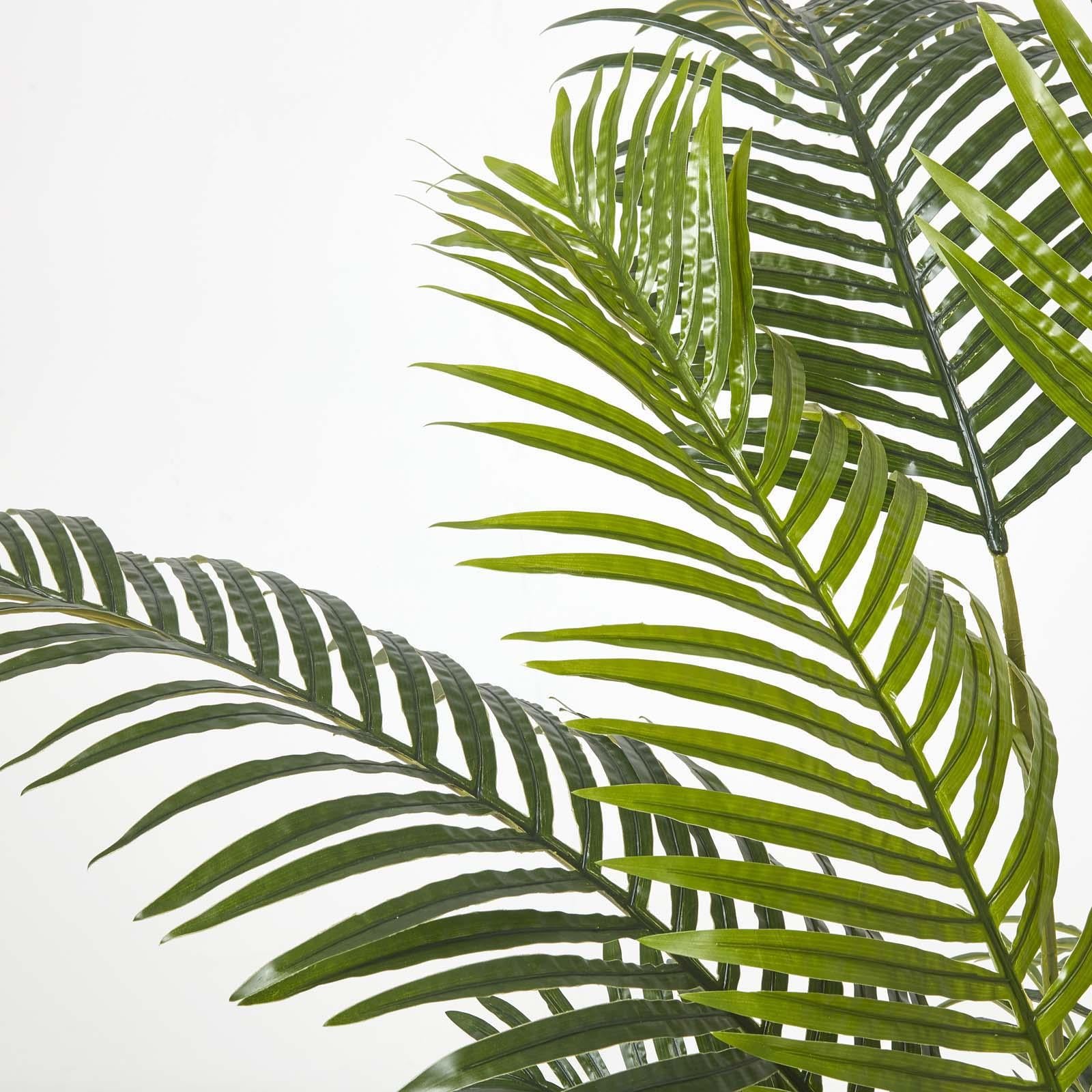 Areca Palm Tree In Pot | 160cm | Green