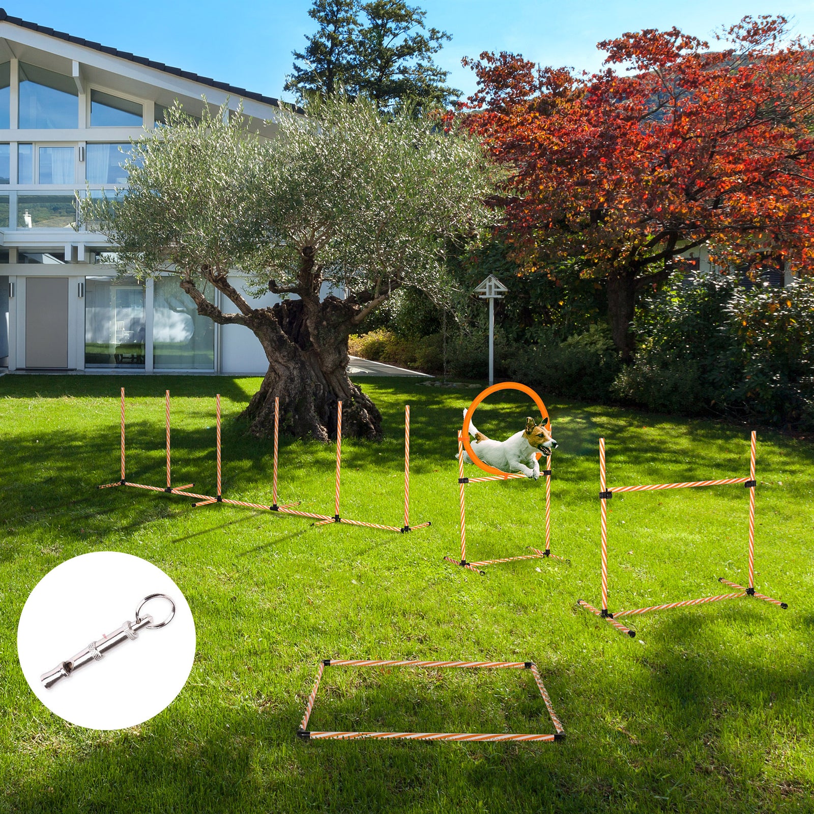 Pet Agility Training Equipment Dog Jump Hurdle Bar Obedience Training Set