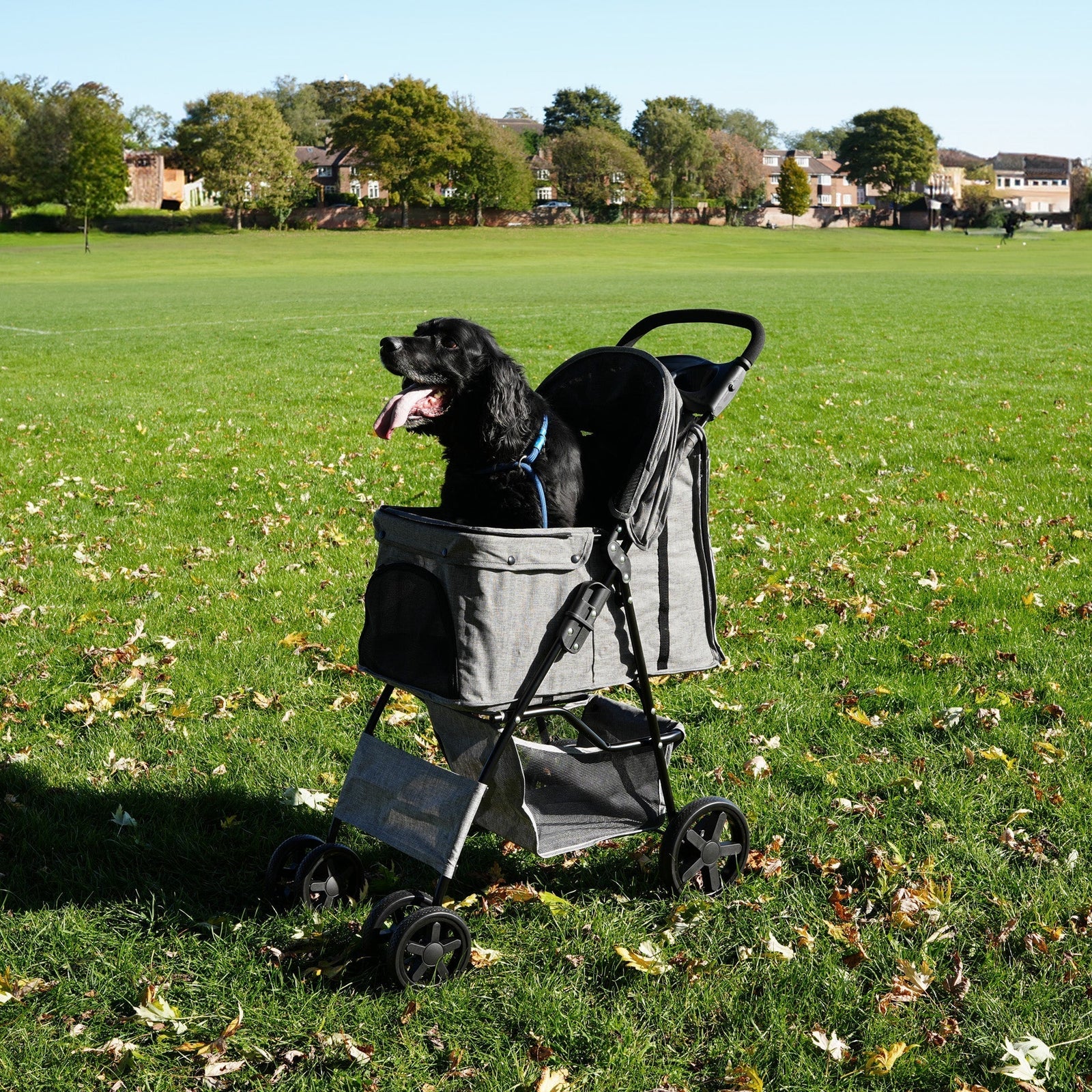 Pet Stroller With Rain Cover | Grey