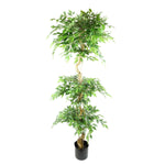180cm Artificial Twisted Fruticosa Ficus Tree Triple Ball Topiary