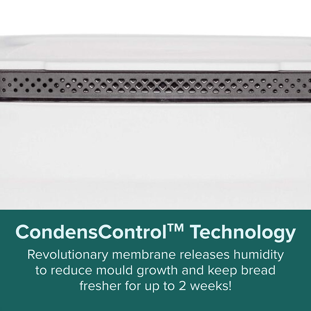 BreadSmart Large | Large | White