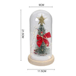 Led Glass Dome Christmas Tree Tabletop Decoration Ribbon And Star