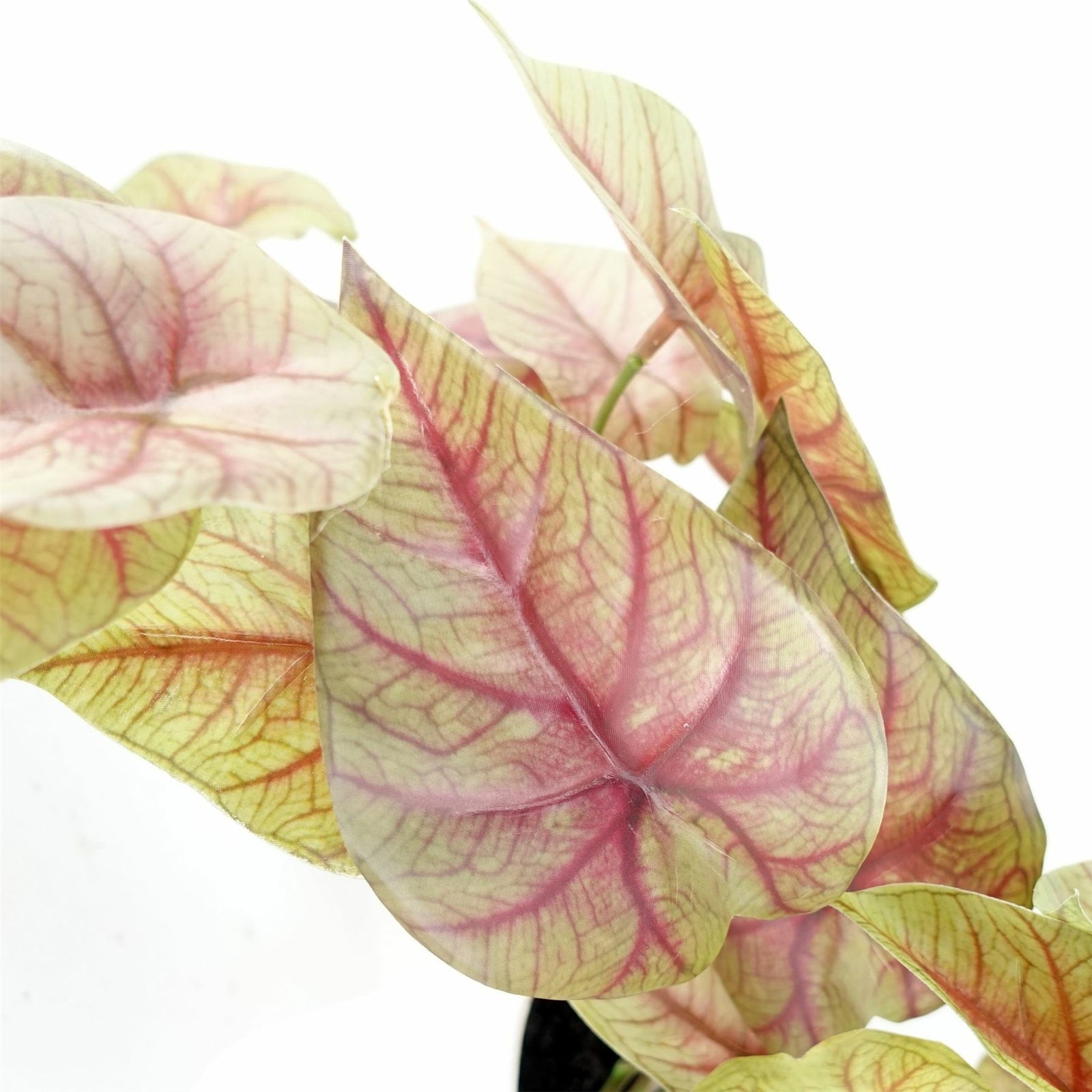 Artificial 30cm Pink Caladium Potted Trailing Plant