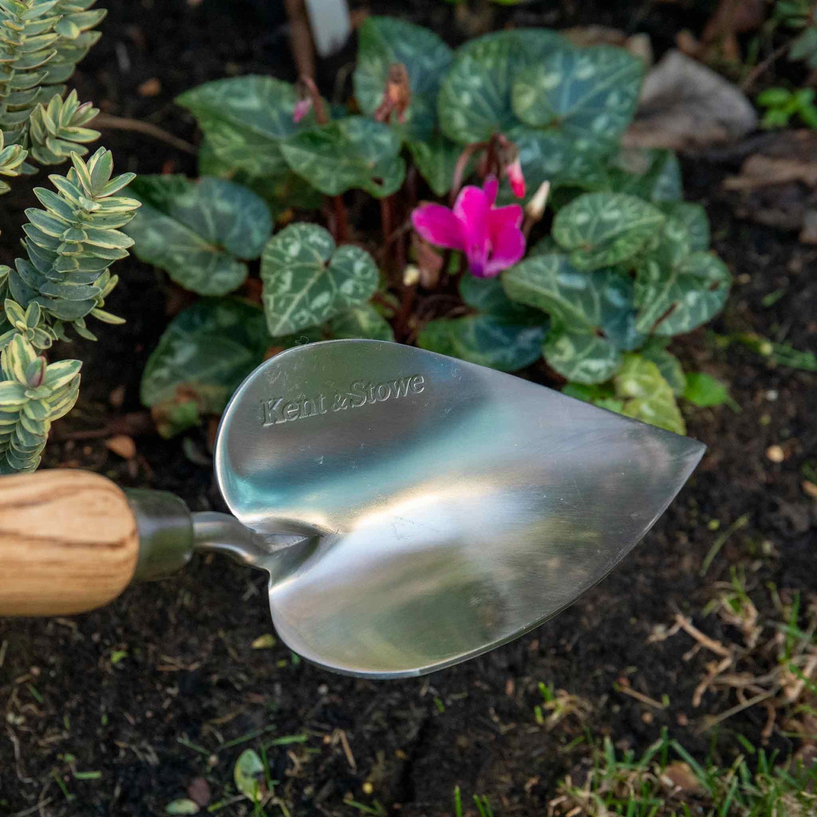 Heart-shaped Stainless Steel Hand Trowel With Fsc Ash Handle | 33cm