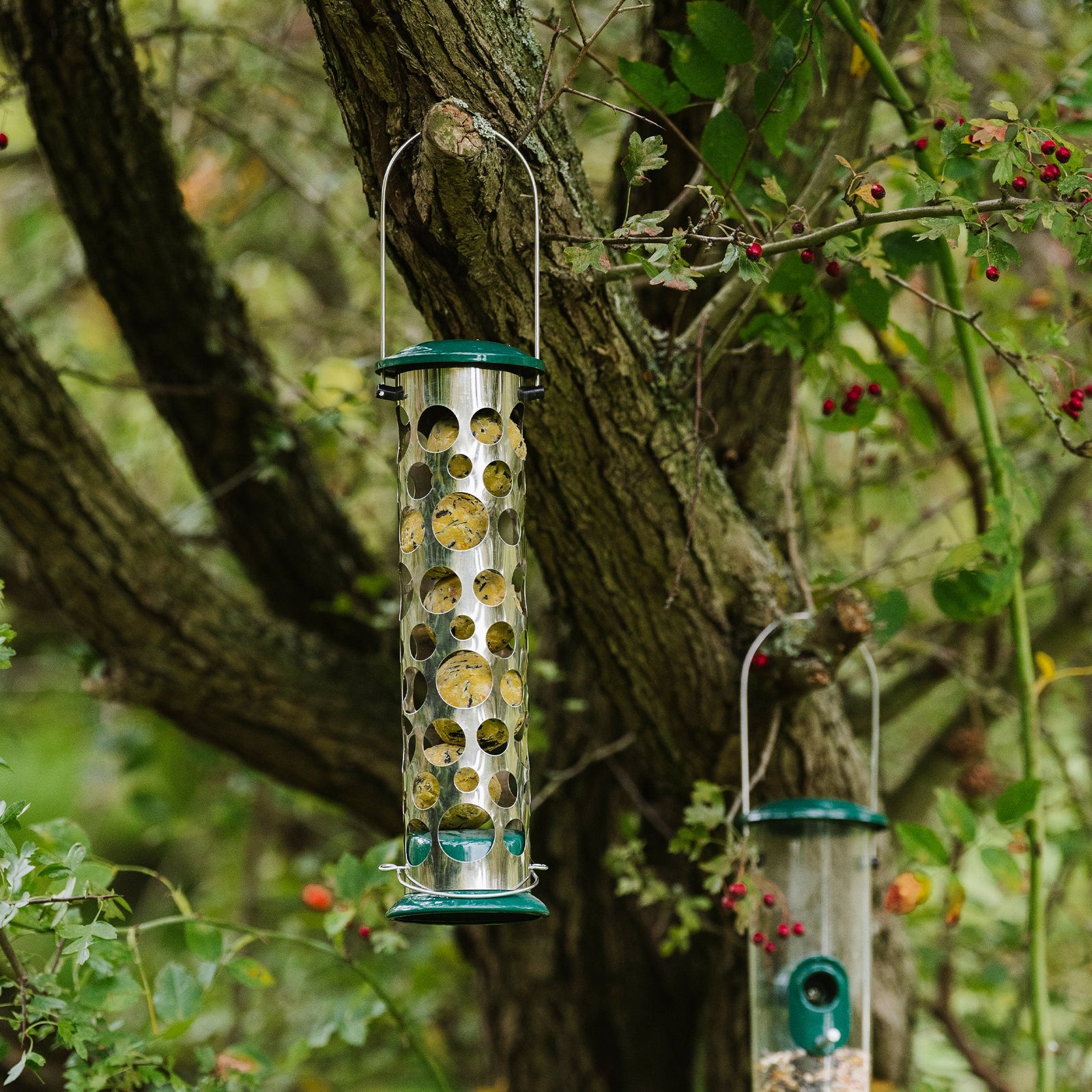 All Weather Energy Ball Feeder | Green