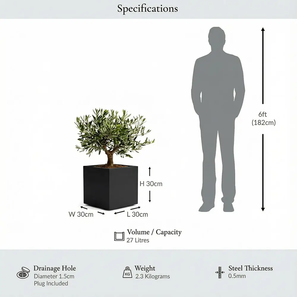 Zinc Galvanised Square Planter | 30cm x 30cm x 30cm | Matte Black