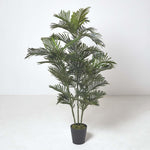 Multi Stem Green Palm Tree In Pot | 180cm | Green