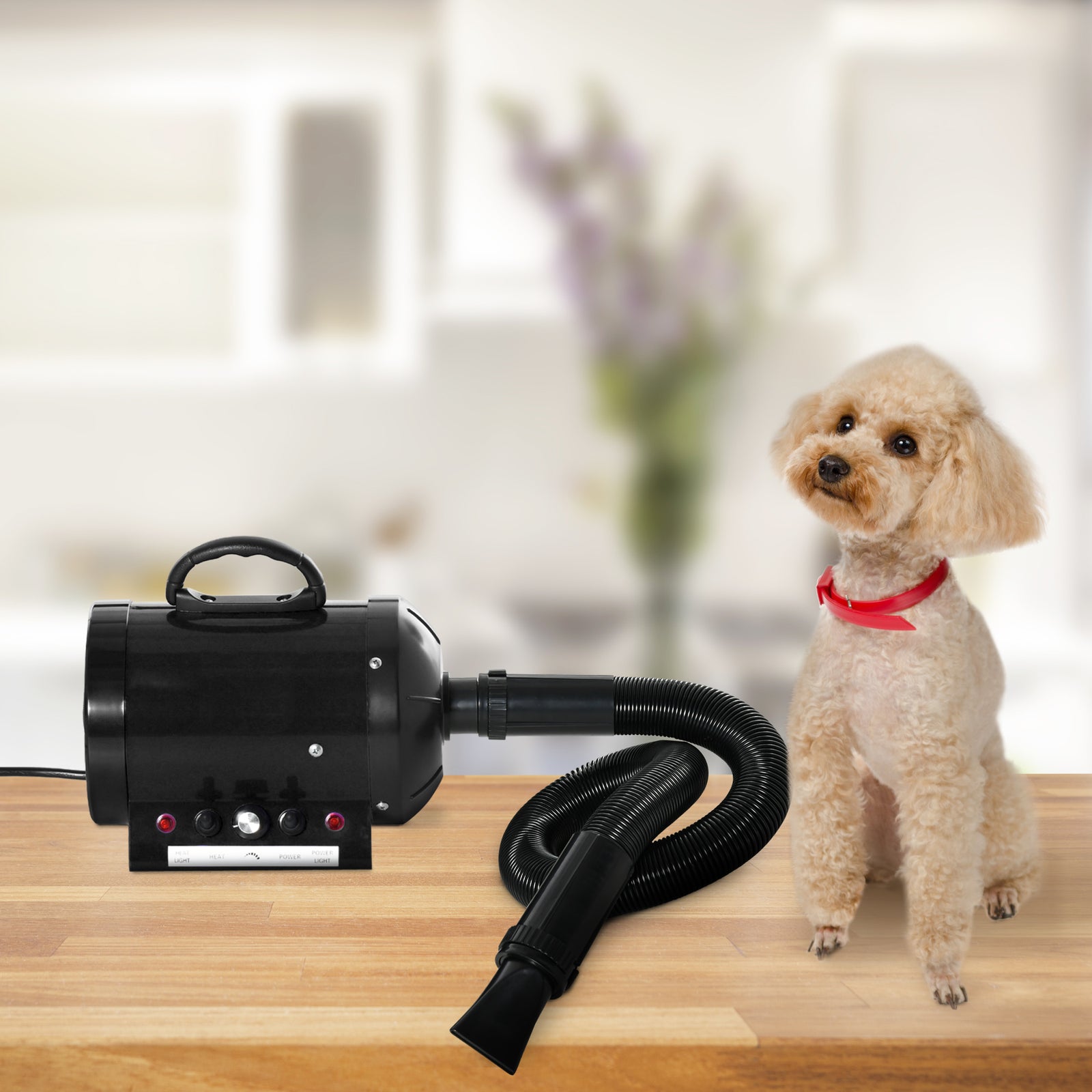 2800w Dog Hair Dryer Pet Grooming Blaster Blower Dryer 3 Nozzles | Black