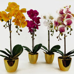 46cm Artificial Orchid Dark Pink Gold
