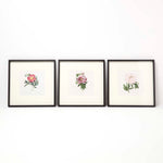 HOMESCAPES Wall Decoration Set Of 3 Frames With Picture, Peonies