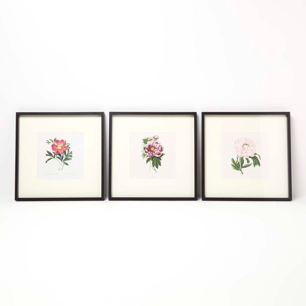 HOMESCAPES Wall Decoration Set Of 3 Frames With Picture, Peonies
