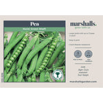 Pea Hurst Green Shaft | 300 Seeds