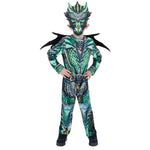 Dragon Costume | Age 10-12