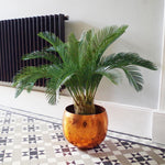 Large Artificial Palm Tree 80cm Cycas Realistic Plant Leaf Design Uk Botanik