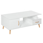 Minimalist Storage Coffee Table