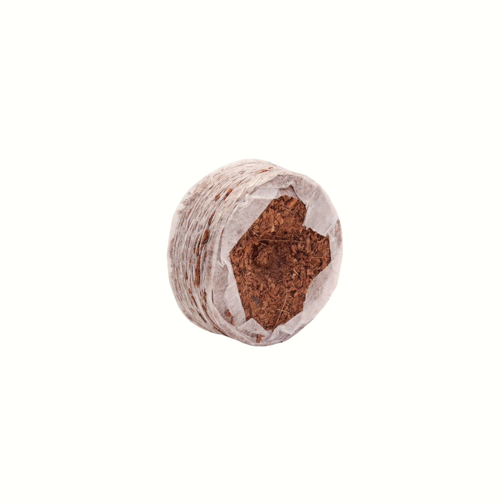 Coircoins 38mm Pack Of 50