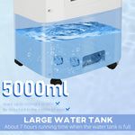 Portable Air Cooler With Humidifier, Ice Packs, Oscillation