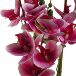 70cm Artificial Orchid Dark Pink With Black Ceramic Planter