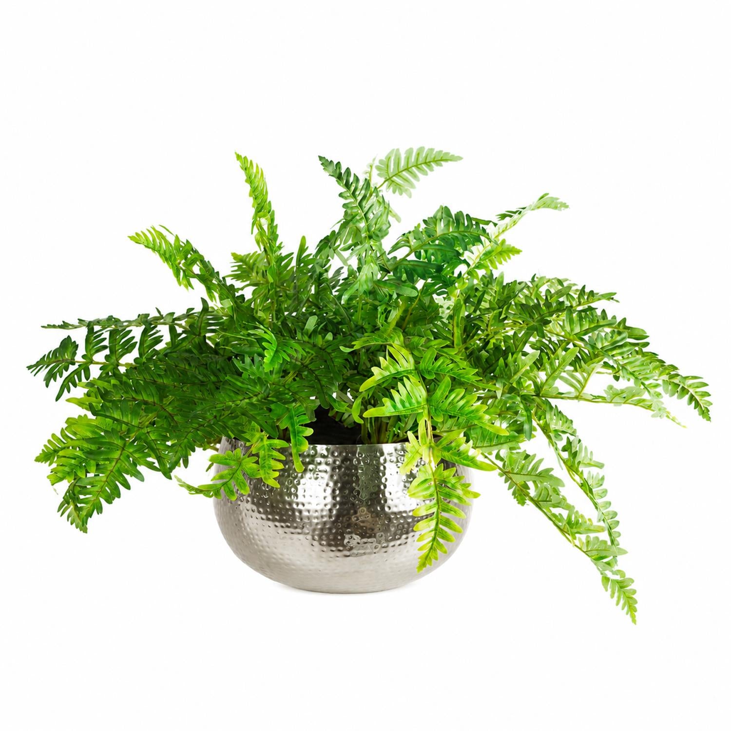 Large Artificial Ferns Display With Xl Metal Silver Bowl Planter 50x65cm