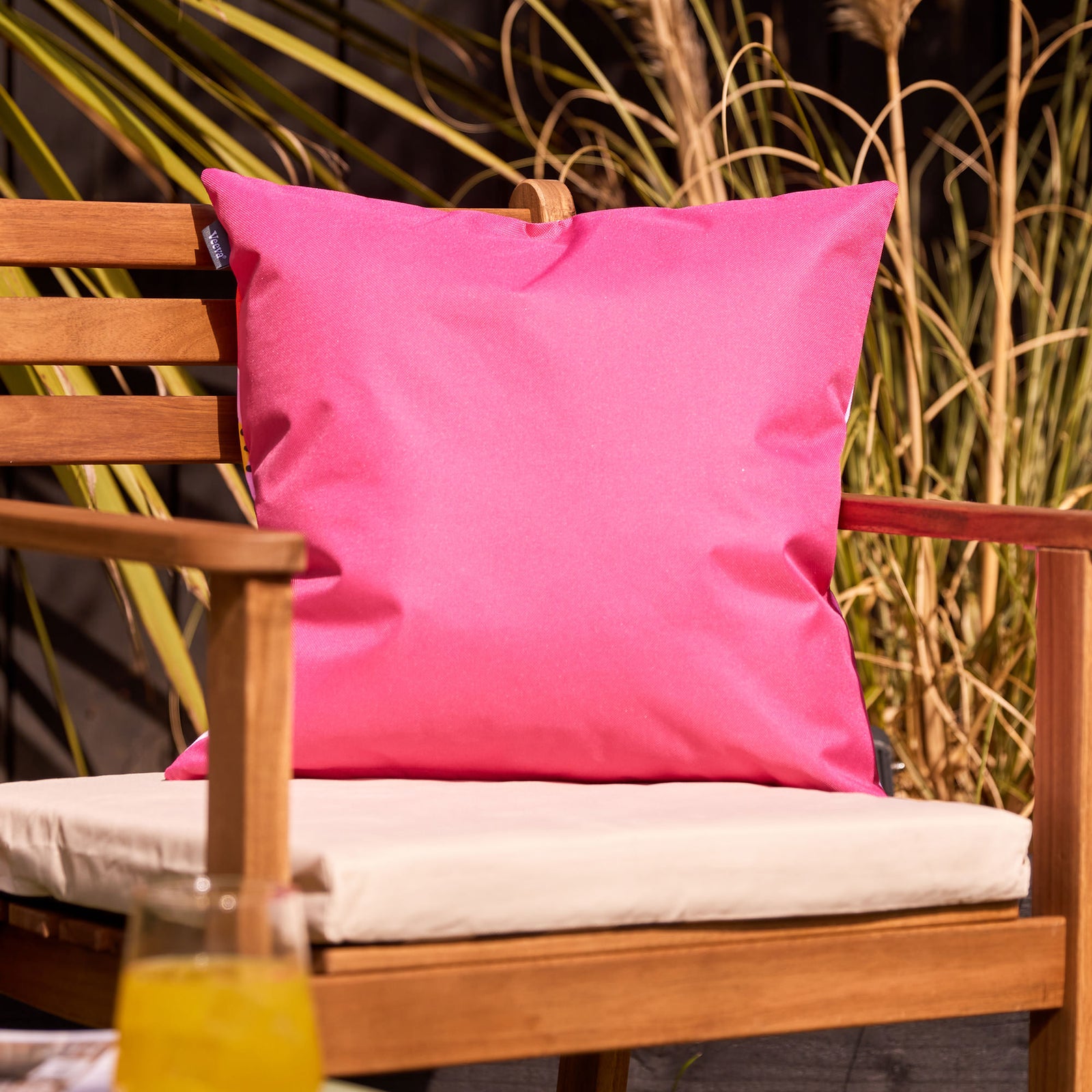 Fruit Print Set Of 4 Outdoor Cushion