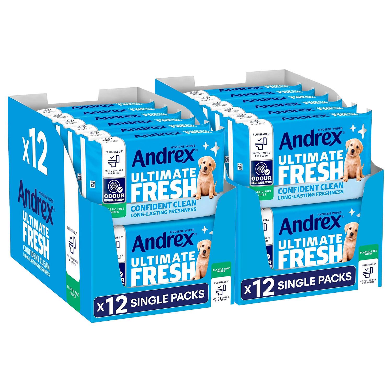 Washlets Confident Clean Biodegradable & Flushable Toilet Wipes, 2Pk