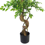 Artificial 150cm Twisted Trunk Japanese Fruticosa Style Ficus Tree
