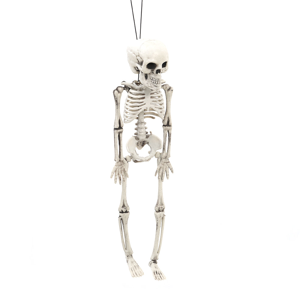 Realistic Posable Hanging Skeleton For Halloween