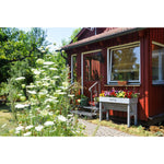 Raised Wooden Planter -Small Wall Hugger | Gray