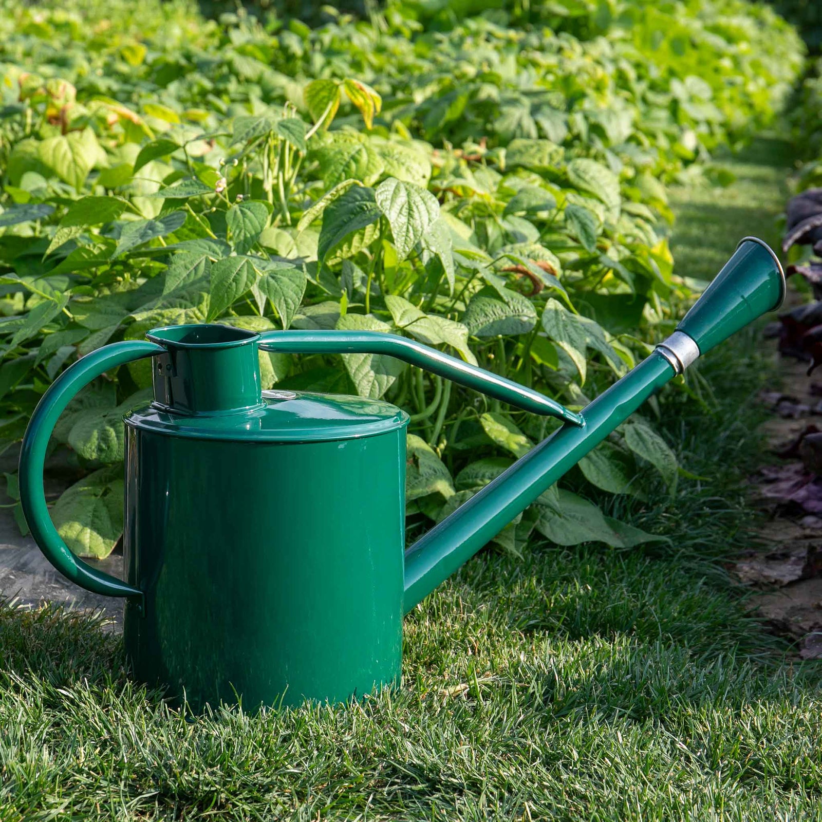 Long Reach Galvanised Metal Watering Can | Forest Green