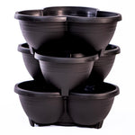 Thompson & Morgan Strawberry Summer Long Collection - 9 Plants + Stacking Planter