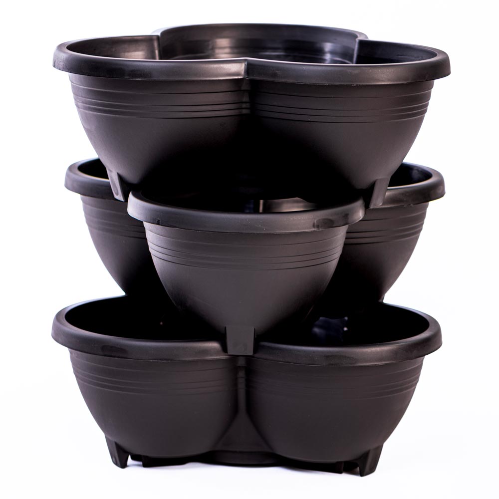 Thompson & Morgan Strawberry Summer Long Collection - 9 Plants + Stacking Planter