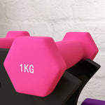 Six Dumbbells With Dumbbell Storage Rack | Pink