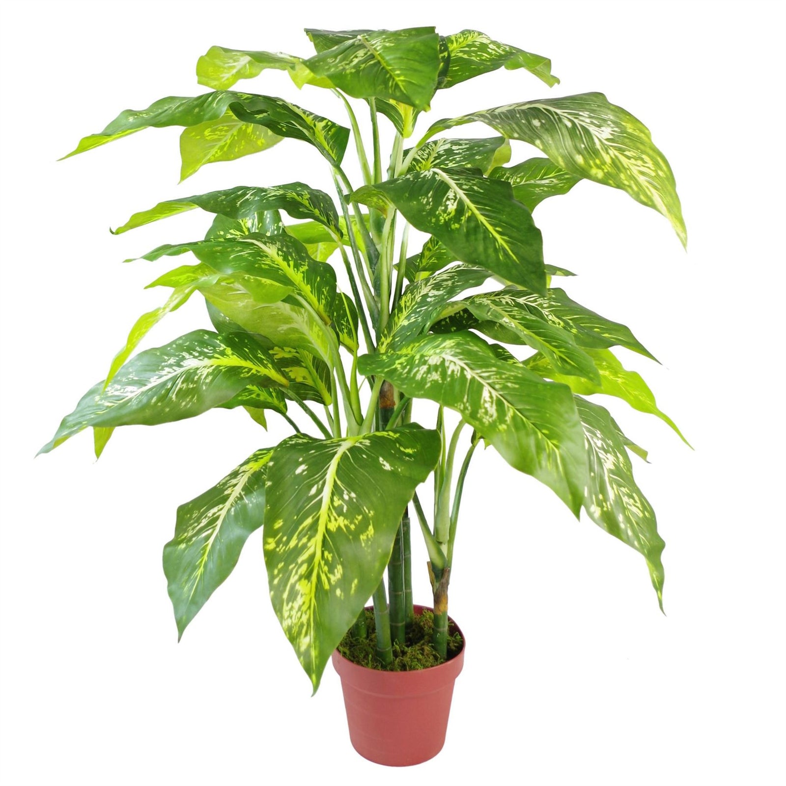 Artificial 100cm Large Fox's Aglaonema Tree Plant