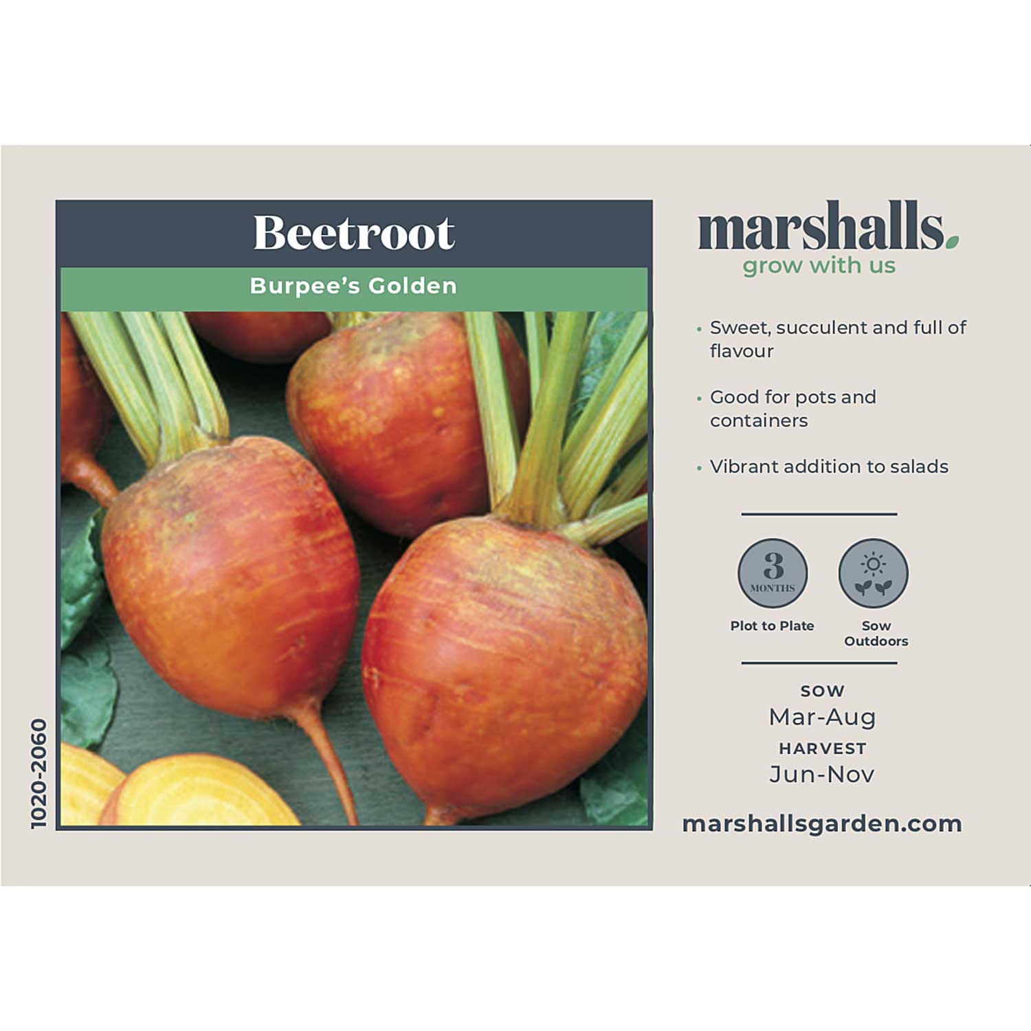 Burpees Golden Beetroot | 100 Seeds