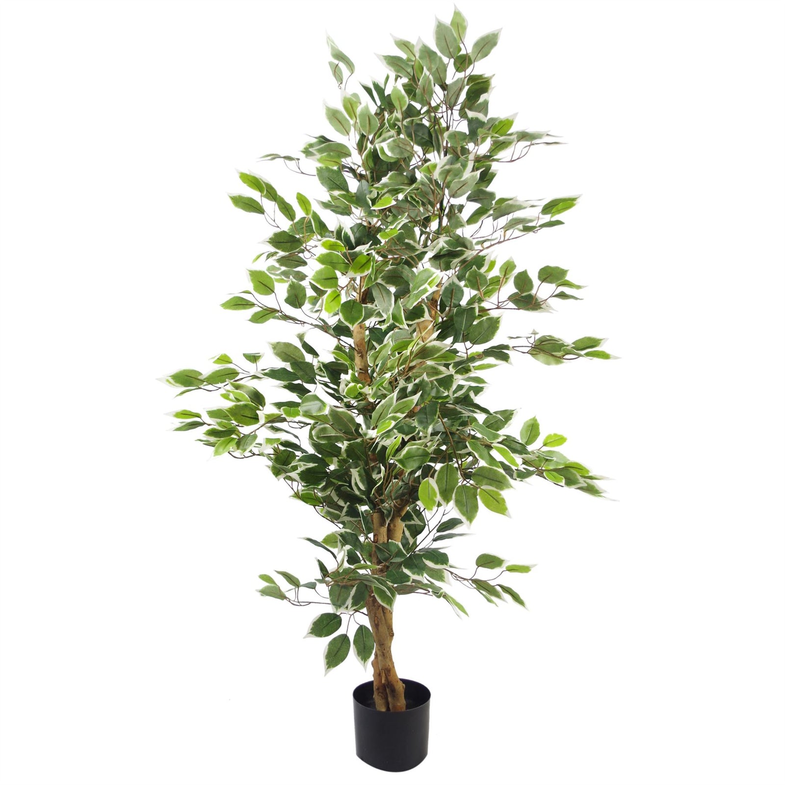 Artificial 130cm Variegated White/green Bushy Ficus Tree