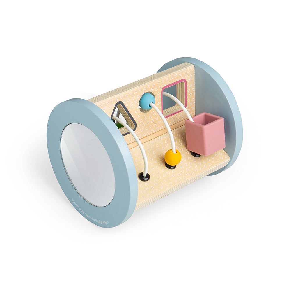 Rolling Sensory Sorter Toy, Made From Wood And Silicone
