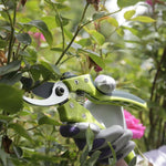 Gift Set, Bypass & Anvil Secateurs, Kew Gardens Tool Range