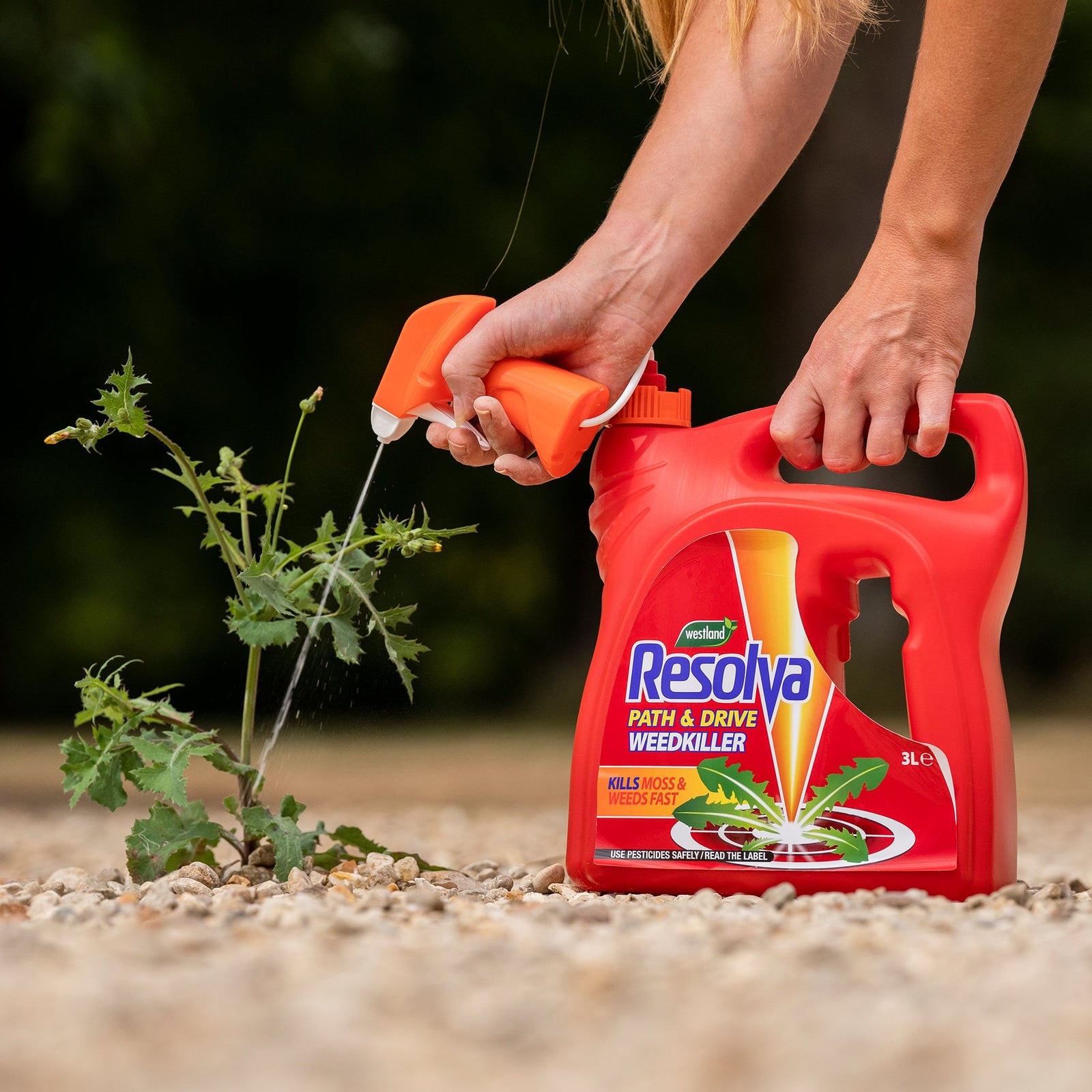 Weed Killer 2 In 1 Path & Drive Kills Moss & Algae Ready To Use, 3l | 3l